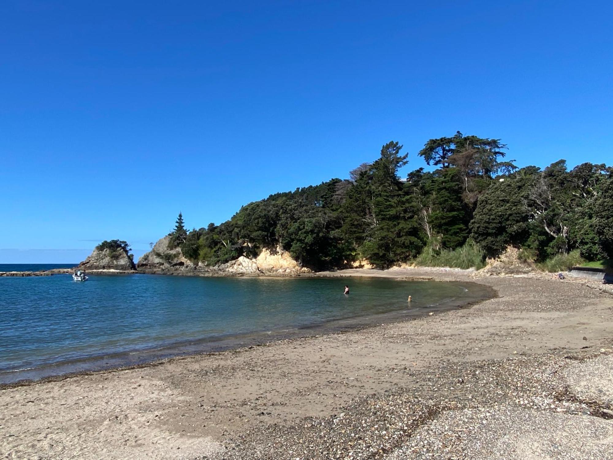 Kereru Cabin - Spectacular Seaviews, Rustic, Glamping Eco Adventure Palm Beach Exterior foto