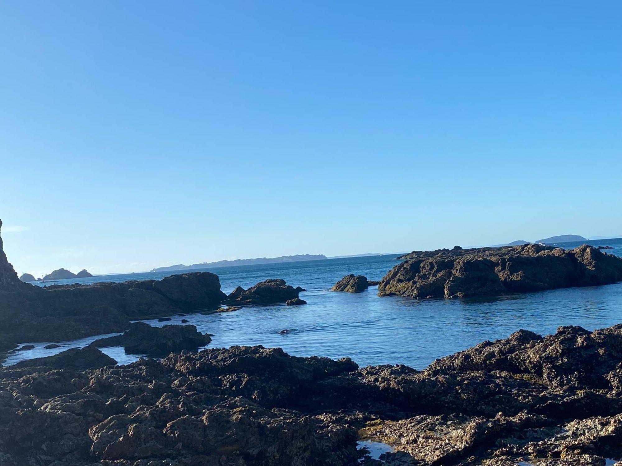 Kereru Cabin - Spectacular Seaviews, Rustic, Glamping Eco Adventure Palm Beach Exterior foto